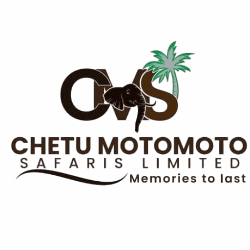 Chetu Motomoto