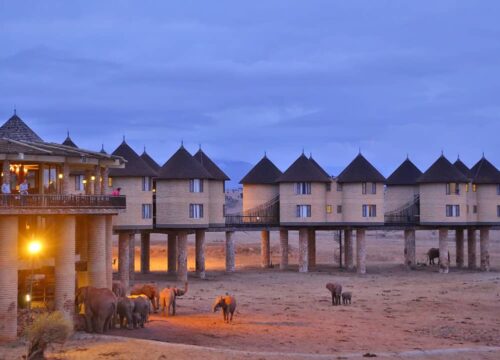 3Days 2Nights Tsavo SGR Package to Salt Lick Safari Lodge