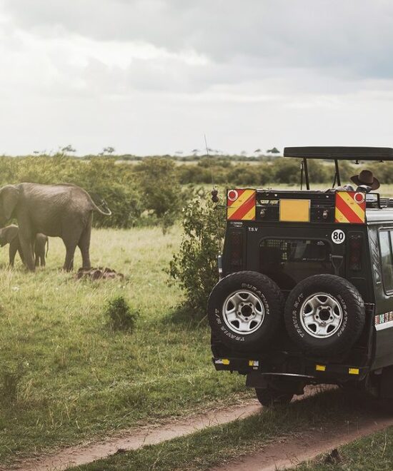 10 Days Primates and Wildlife of Uganda