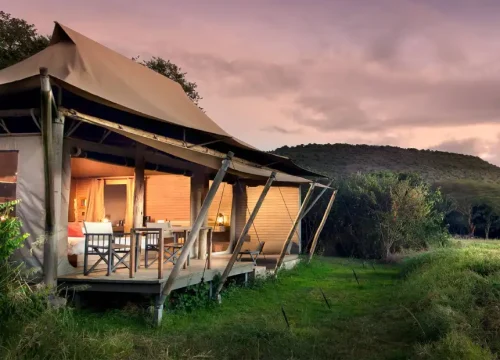 4 Days and Beyond Luxury Safari