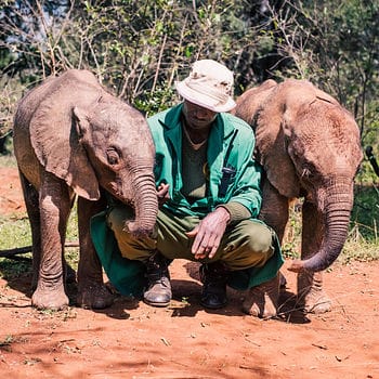 Nairobi City Tour Excursions